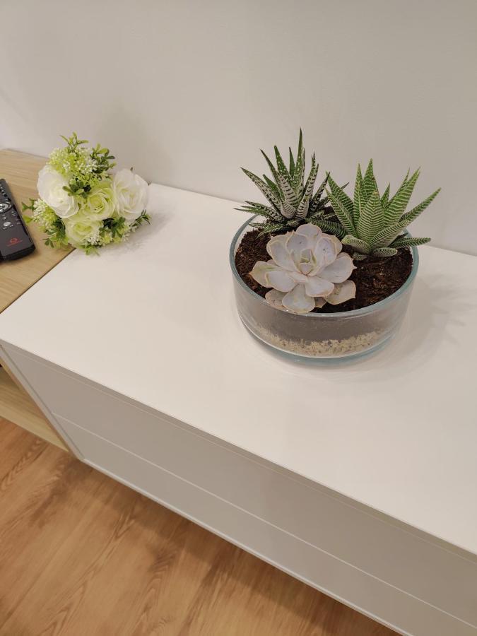 A Window To Porto - Premium Apartment Porto Downtown Екстериор снимка